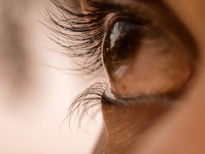 An eye in profile with long, natural lashes in warm light