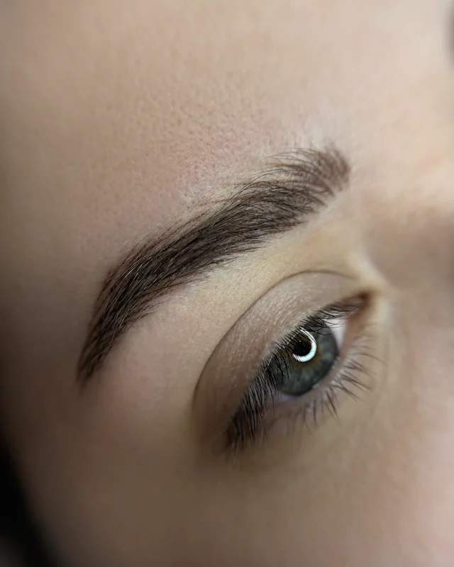 Close-up of a neatly shaped, brushed-up brow above a lowered eye