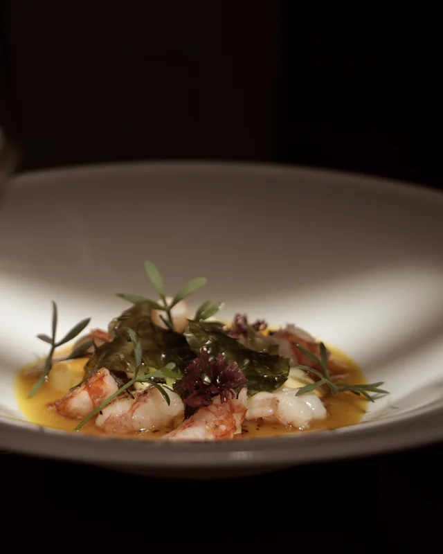 A raw shellfish starter in a wide white bowl, with golden oil and fresh herbs