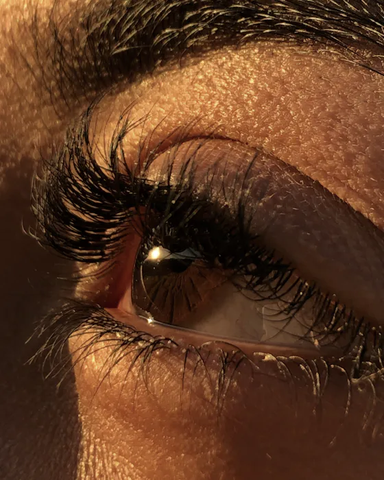 Close-up of one eye and its long natural lashes in low golden light