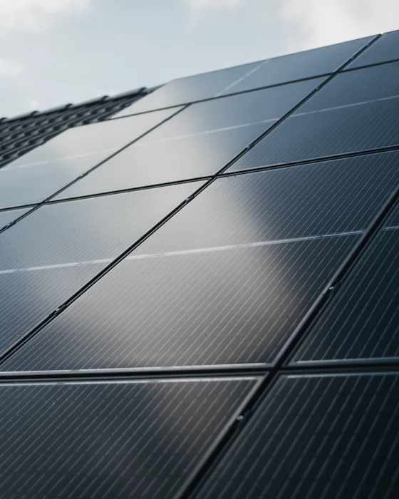 All-black solar panels in rows over a tiled roof, against a pale sky